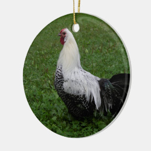 Adorno De Cerámica Brakel Hahn