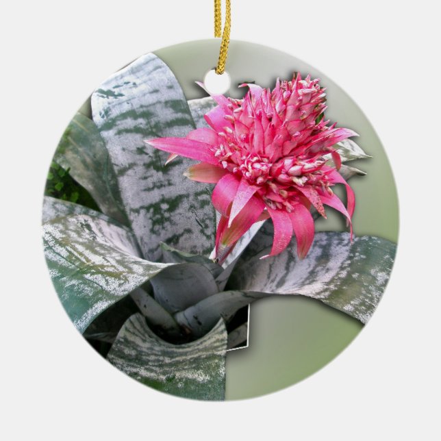 Adorno De Cerámica Bromelida florida rosa (Frente)