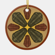 Bronce y Copper Calymene Niagarensis trilobitas