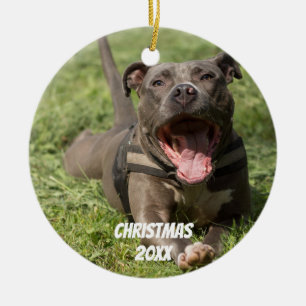 Adorno De Cerámica Brown Editable Pitbull en hierba