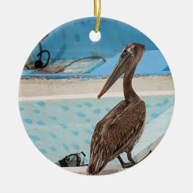 Adorno De Cerámica Brown Pelican | Cabo San Lucas (Frente)