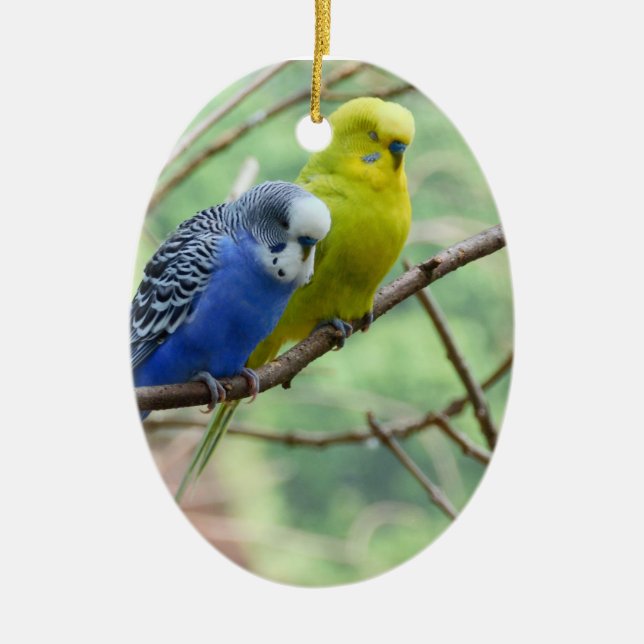 Adorno De Cerámica Budgie maravilloso (Frente)