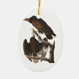 Adorno De Cerámica Buitre de Turquía de Audubon