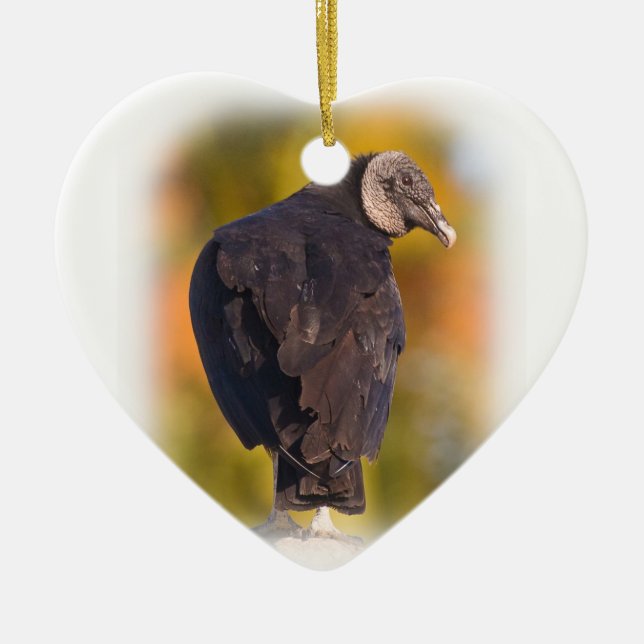 Adorno De Cerámica Buitre negro colorido (Frente)