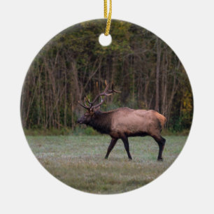 Adorno De Cerámica Bull Elk Morning Walk
