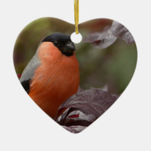 Adorno De Cerámica Bull Finch