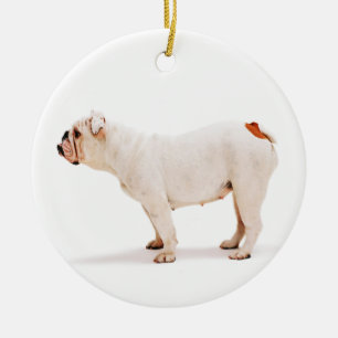 Adorno De Cerámica Bulldog blanco de perro lindo