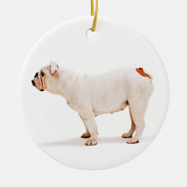 Adorno De Cerámica Bulldog blanco de perro lindo (Frente)