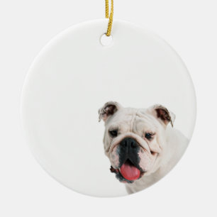 Adorno De Cerámica Bulldog blanco de perro lindo