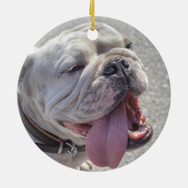 Adorno De Cerámica Bulldog blanco feliz (Atrás)
