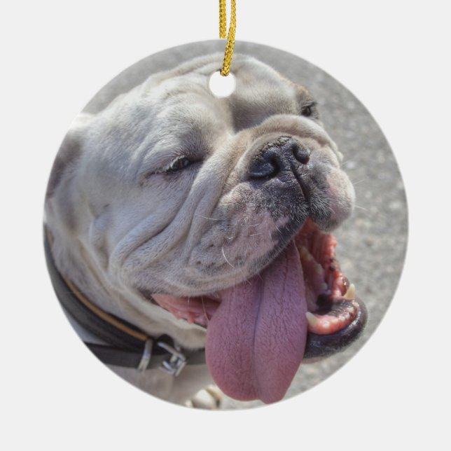 Adorno De Cerámica Bulldog blanco feliz (Frente)