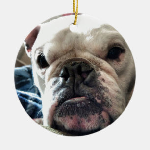 Adorno De Cerámica Bulldog inglés