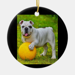 Adorno De Cerámica Bulldog inglés lindo Bulldog de baloncesto con reg