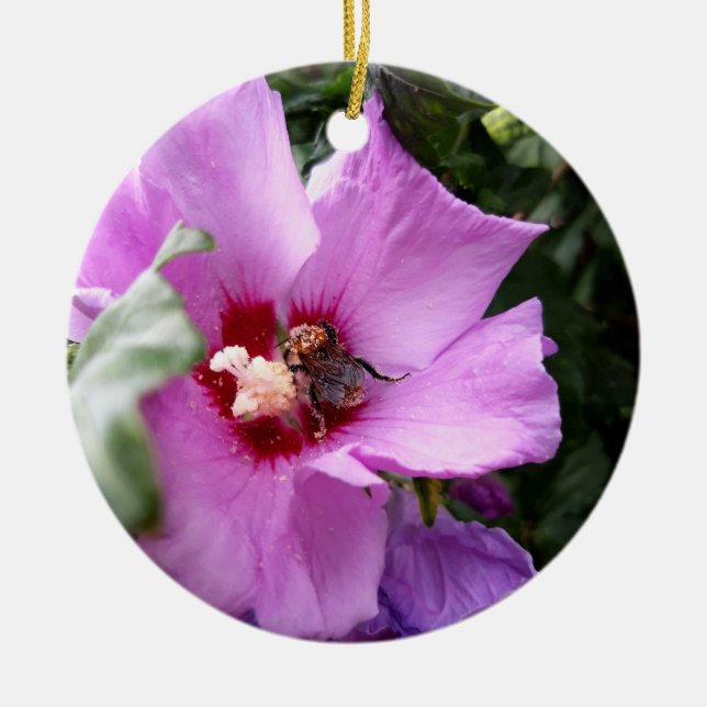 Adorno De Cerámica Bumblebee en la flor de Hibiscus (Frente)