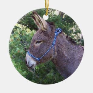 Adorno De Cerámica Burro