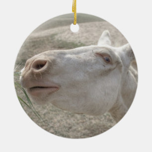 Adorno De Cerámica Burro blanco austriaco-húngaro