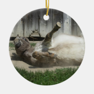 Adorno De Cerámica Burro de baño de arena