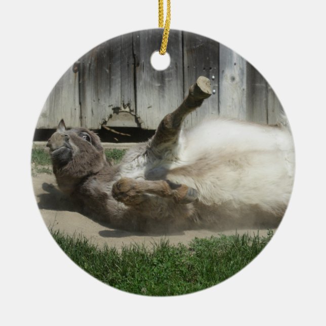 Adorno De Cerámica Burro de baño de arena (Frente)