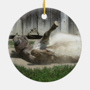 Adorno De Cerámica Burro de baño de arena