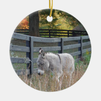 Adorno De Cerámica Burro en un campo del otoño