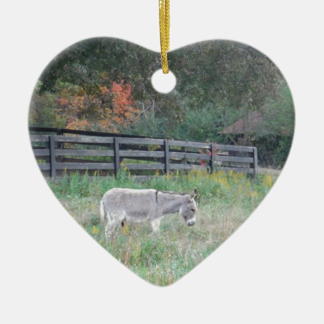 Adorno De Cerámica Burro en un campo otoñal. (Frente)