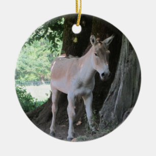 Adorno De Cerámica Burro pequeño