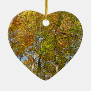 Adorno De Cerámica Buscando hojas de otoño III oliage colorido