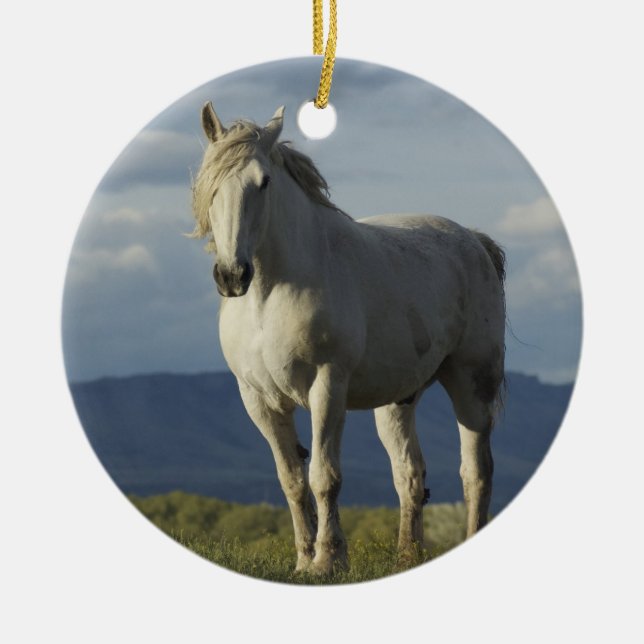 Adorno De Cerámica Caballero de sueños (Frente)