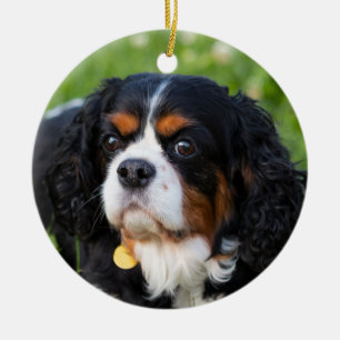Adorno De Cerámica Caballero Tri Color King Charles Spaniel