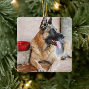 Adorno De Cerámica Caballo alemán descansando por cuenca acuática