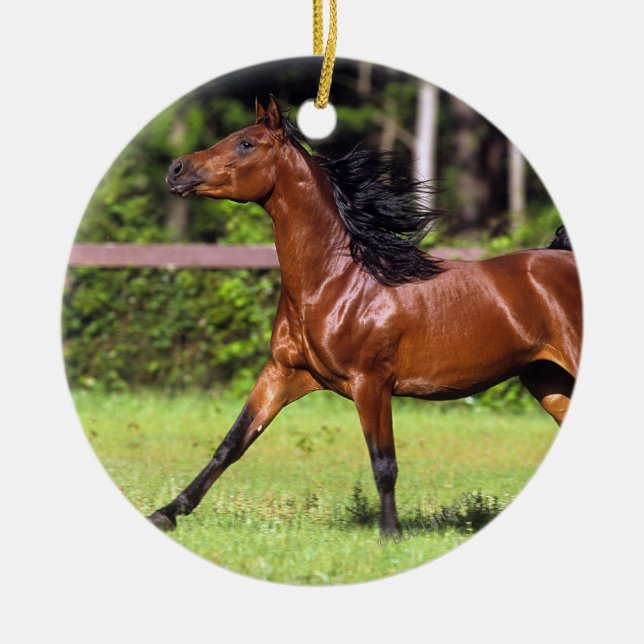 Adorno De Cerámica Caballo árabe que corre 2 (Frente)