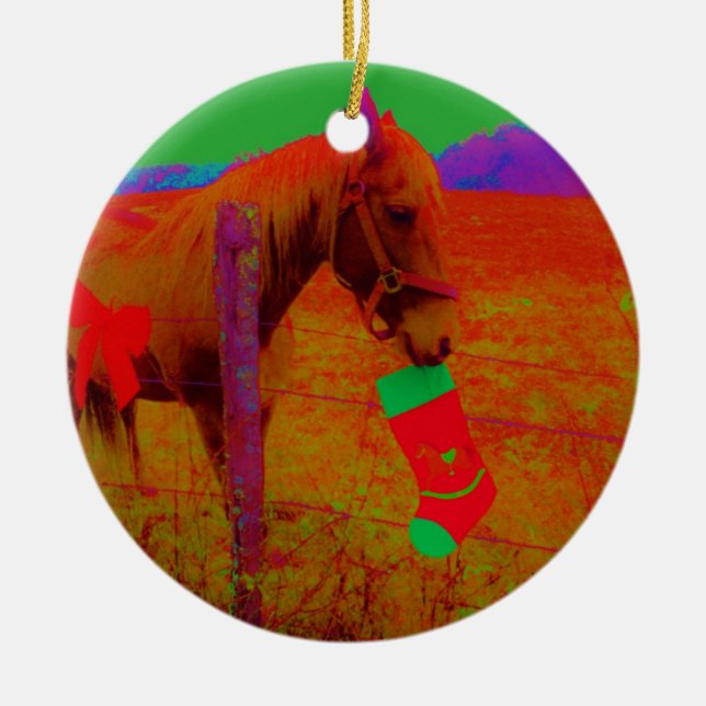 Adorno De Cerámica Caballo arcoiris navidades (Frente)