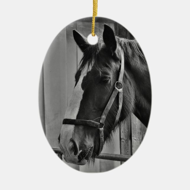 Adorno De Cerámica Caballo blanco negro - Arte fotográfico animal (Frente)
