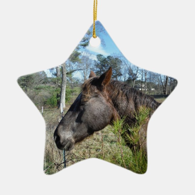 Adorno De Cerámica Caballo color Coco y Crema (Frente)