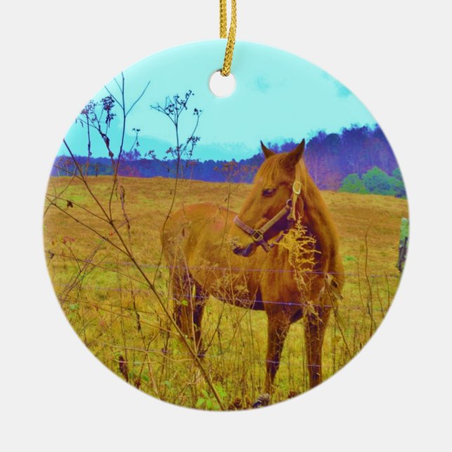 Adorno De Cerámica Caballo de color retro (Frente)