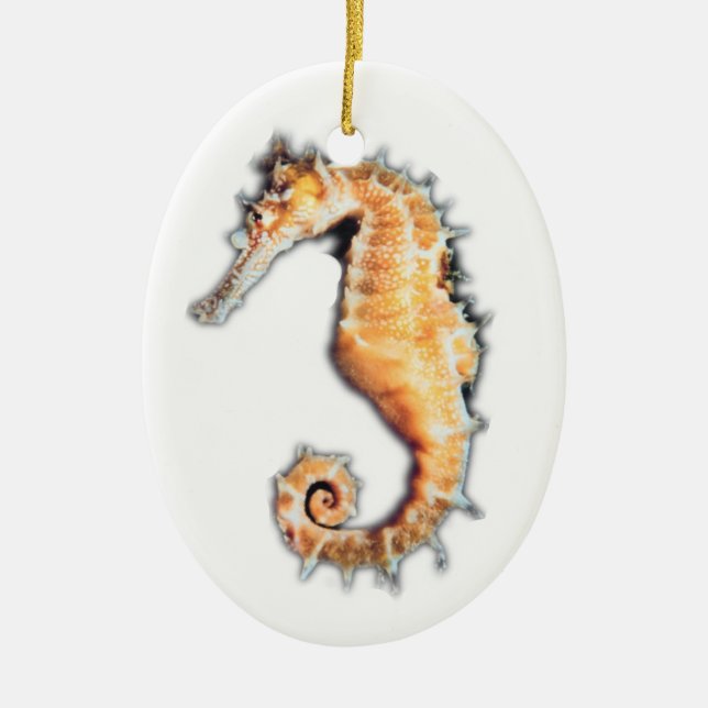 Adorno De Cerámica Caballo de mar (Frente)