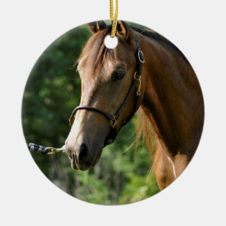 Adorno De Cerámica Caballo de Morgan del ante