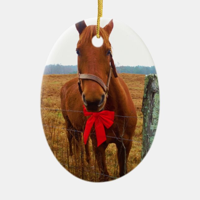 Adorno De Cerámica Caballo de navidades (Frente)