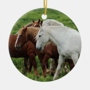 Adorno De Cerámica Caballo de proyecto