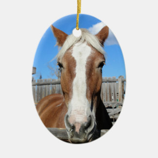 Adorno De Cerámica Caballo de proyecto belga