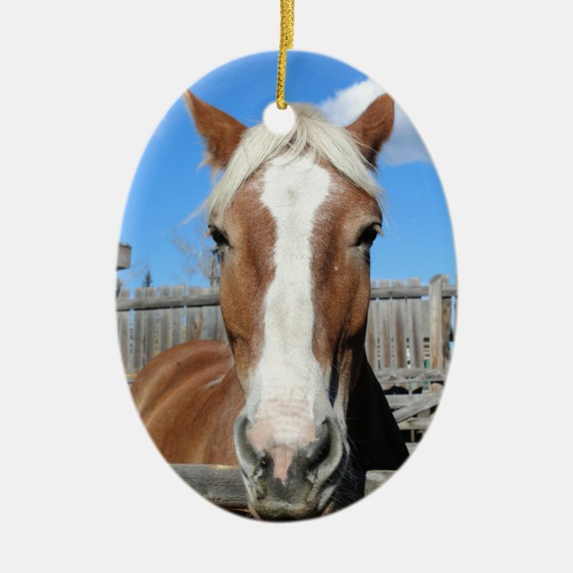 Adorno De Cerámica Caballo de proyecto belga (Frente)