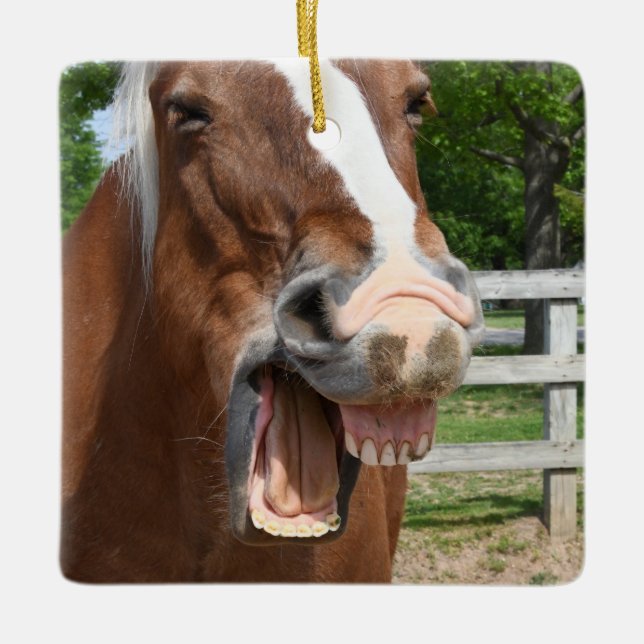 Adorno De Cerámica Caballo de risa divertido (Anverso)