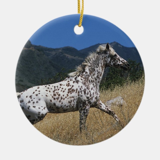 Adorno De Cerámica Caballo del Appaloosa que funciona con para arriba (Frente)