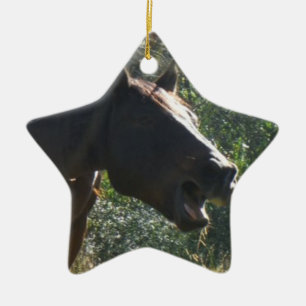 Adorno De Cerámica Caballo en otoño