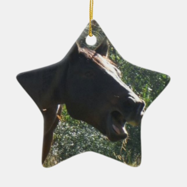 Adorno De Cerámica Caballo en otoño (Frente)