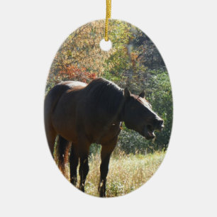 Adorno De Cerámica Caballo en otoño