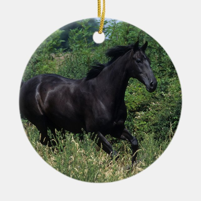 Adorno De Cerámica Caballo excelente que corre en hierba (Frente)