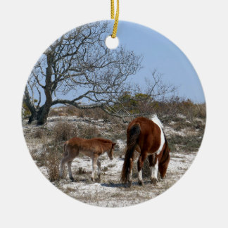 Adorno De Cerámica Caballo madre y bebé en Assateague
