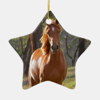 Adorno De Cerámica Caballo magnífico de Brown de la castaña en campo