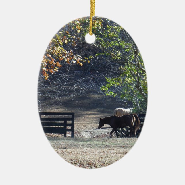 Adorno De Cerámica Caballo marrón caminando por la valla (Frente)